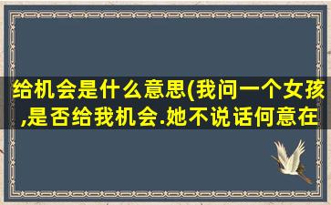 给机会是什么意思(我问一个女孩,是否给我机会.她不说话何意在线等)