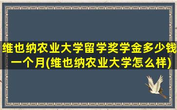 维也纳农业大学留学奖学金多少钱一个月(维也纳农业大学怎么样)