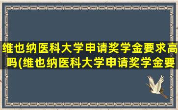 维也纳医科大学申请奖学金要求高吗(维也纳医科大学申请奖学金要求多少)