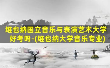 维也纳国立音乐与表演艺术大学好考吗-(维也纳大学音乐专业)