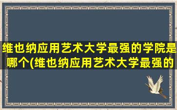 维也纳应用艺术大学最强的学院是哪个(维也纳应用艺术大学最强的学院是什么)