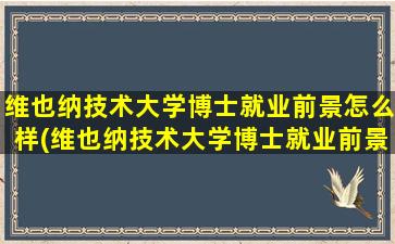 维也纳技术大学博士就业前景怎么样(维也纳技术大学博士就业前景分析)