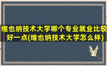 维也纳技术大学哪个专业就业比较好一点(维也纳技术大学怎么样)