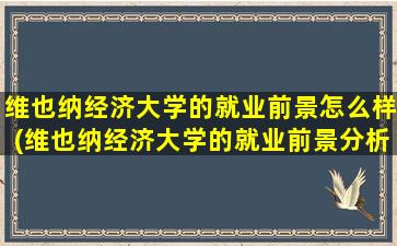 维也纳经济大学的就业前景怎么样(维也纳经济大学的就业前景分析)