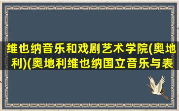 维也纳音乐和戏剧艺术学院(奥地利)(奥地利维也纳国立音乐与表演艺术大学)