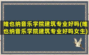 维也纳音乐学院建筑专业好吗(维也纳音乐学院建筑专业好吗女生)