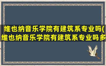 维也纳音乐学院有建筑系专业吗(维也纳音乐学院有建筑系专业吗多少分)