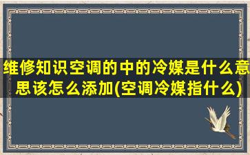 维修知识空调的中的冷媒是什么意思该怎么添加(空调冷媒指什么)