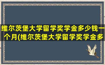 维尔茨堡大学留学奖学金多少钱一个月(维尔茨堡大学留学奖学金多少钱一个月)