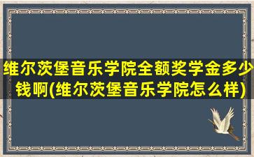 维尔茨堡音乐学院全额奖学金多少钱啊(维尔茨堡音乐学院怎么样)