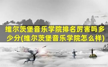 维尔茨堡音乐学院排名厉害吗多少分(维尔茨堡音乐学院怎么样)