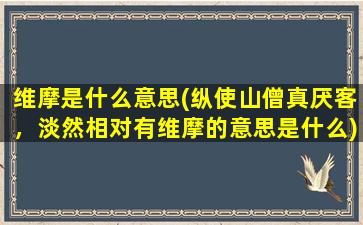 维摩是什么意思(纵使山僧真厌客，淡然相对有维摩的意思是什么)