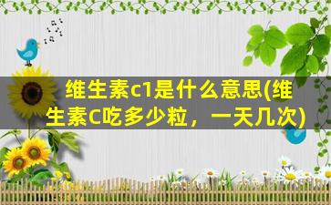 维生素c1是什么意思(维生素C吃多少粒，一天几次)