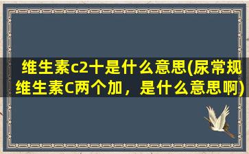 维生素c2十是什么意思(尿常规维生素C两个加，是什么意思啊)