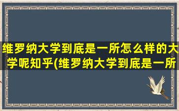 维罗纳大学到底是一所怎么样的大学呢知乎(维罗纳大学到底是一所怎么样的大学呢英语)