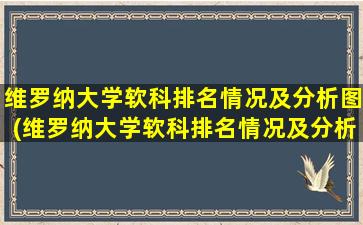 维罗纳大学软科排名情况及分析图(维罗纳大学软科排名情况及分析表)