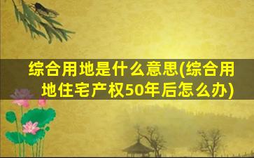 综合用地是什么意思(综合用地住宅产权50年后怎么办)