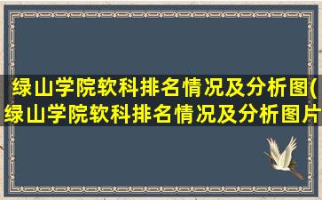 绿山学院软科排名情况及分析图(绿山学院软科排名情况及分析图片)