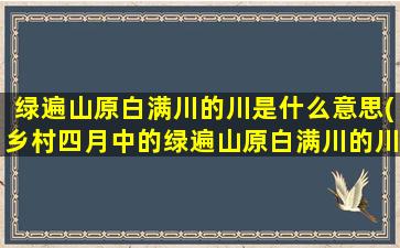 绿遍山原白满川的川是什么意思(乡村四月中的绿遍山原白满川的川是什么意思)