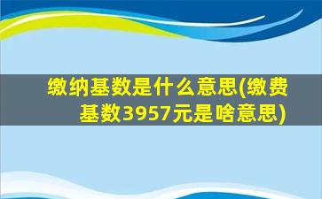 缴纳基数是什么意思(缴费基数3957元是啥意思)