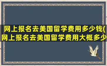 网上报名去美国留学费用多少钱(网上报名去美国留学费用大概多少)