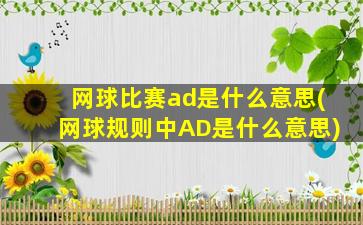 网球比赛ad是什么意思(网球规则中AD是什么意思)