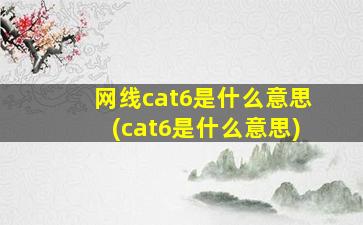 网线cat6是什么意思(cat6是什么意思)