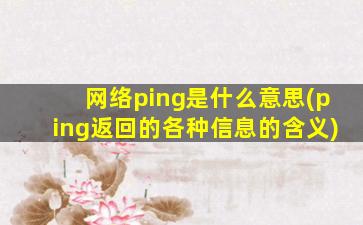 网络ping是什么意思(ping返回的各种信息的含义)