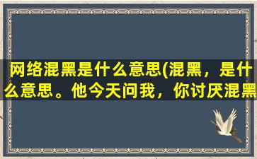 网络混黑是什么意思(混黑，是什么意思。他今天问我，你讨厌混黑的男孩子吗。解释。混黑，好吗是怎么情况呢)