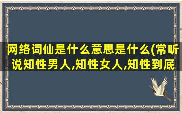 网络词仙是什么意思是什么(常听说知性男人,知性女人,知性到底具体表示什么意思)