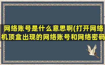 网络账号是什么意思啊(打开网络机顶盒出现的网络账号和网络密码是什么)