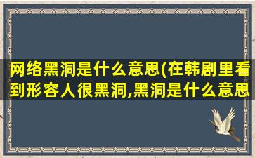 网络黑洞是什么意思(在韩剧里看到形容人很黑洞,黑洞是什么意思)