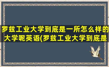 罗兹工业大学到底是一所怎么样的大学呢英语(罗兹工业大学到底是一所怎么样的大学呢英文)