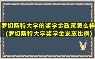 罗切斯特大学的奖学金政策怎么样(罗切斯特大学奖学金发放比例)