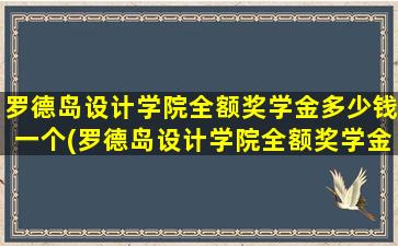 罗德岛设计学院全额奖学金多少钱一个(罗德岛设计学院全额奖学金多少钱一年)