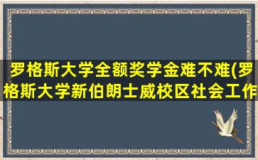 罗格斯大学全额奖学金难不难(罗格斯大学新伯朗士威校区社会工作专业)