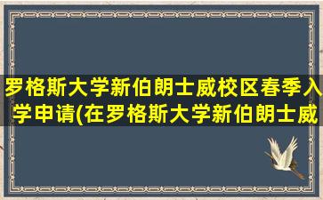 罗格斯大学新伯朗士威校区春季入学申请(在罗格斯大学新伯朗士威校区附近租房子吗)