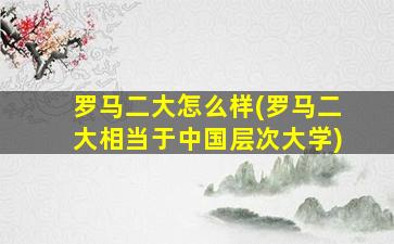 罗马二大怎么样(罗马二大相当于中国层次大学)