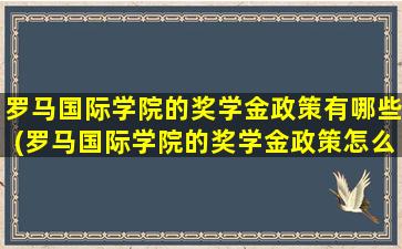 罗马国际学院的奖学金政策有哪些(罗马国际学院的奖学金政策怎么样)