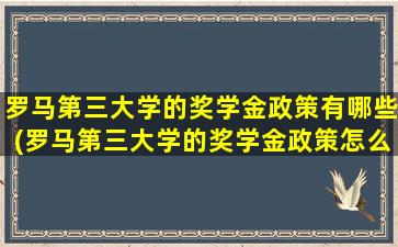 罗马第三大学的奖学金政策有哪些(罗马第三大学的奖学金政策怎么样)