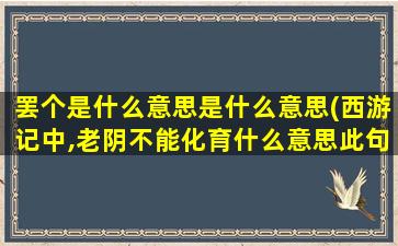 罢个是什么意思是什么意思(西游记中,老阴不能化育什么意思此句在孙悟空师傅给他起名字时说)