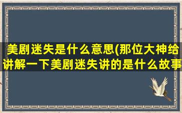 美剧迷失是什么意思(那位大神给讲解一下美剧迷失讲的是什么故事)