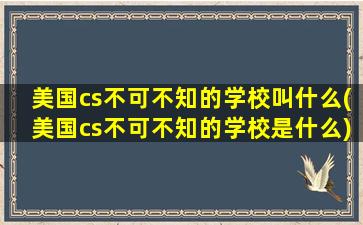 美国cs不可不知的学校叫什么(美国cs不可不知的学校是什么)