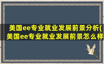 美国ee专业就业发展前景分析(美国ee专业就业发展前景怎么样)