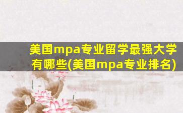 美国mpa专业留学最强大学有哪些(美国mpa专业排名)