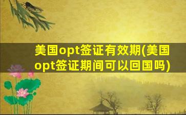 美国opt签证有效期(美国opt签证期间可以回国吗)