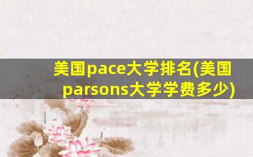 美国pace大学排名(美国parsons大学学费多少)