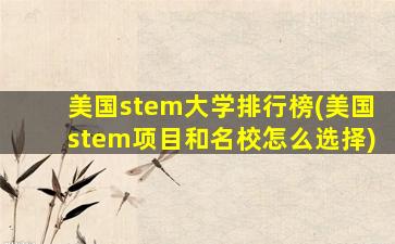 美国stem大学排行榜(美国stem项目和名校怎么选择)