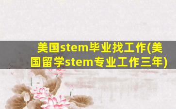 美国stem毕业找工作(美国留学stem专业工作三年)