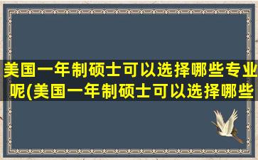 美国一年制硕士可以选择哪些专业呢(美国一年制硕士可以选择哪些专业呢英语)